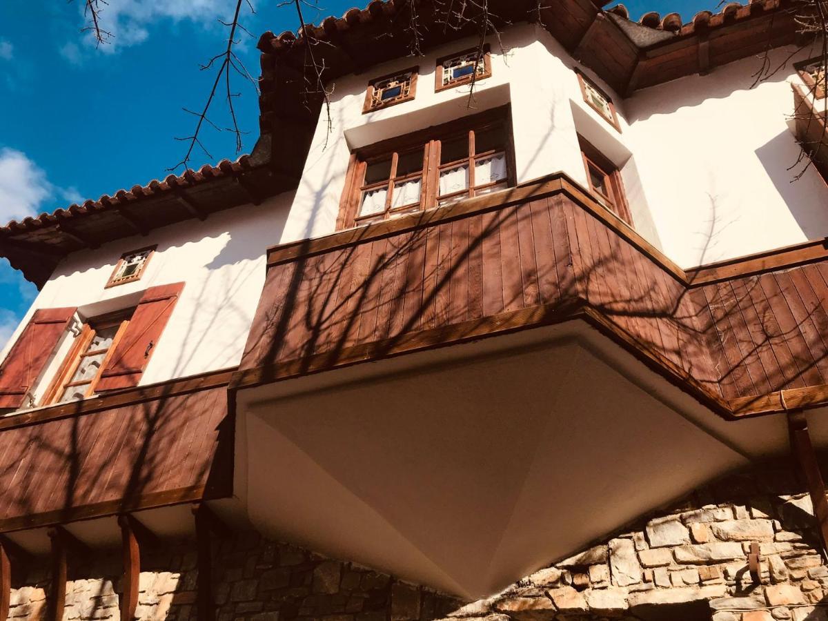 9Mouses Chasiotis Guest House Ampelakia Екстериор снимка