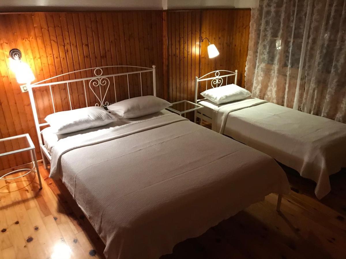 9Mouses Chasiotis Guest House Ampelakia Екстериор снимка