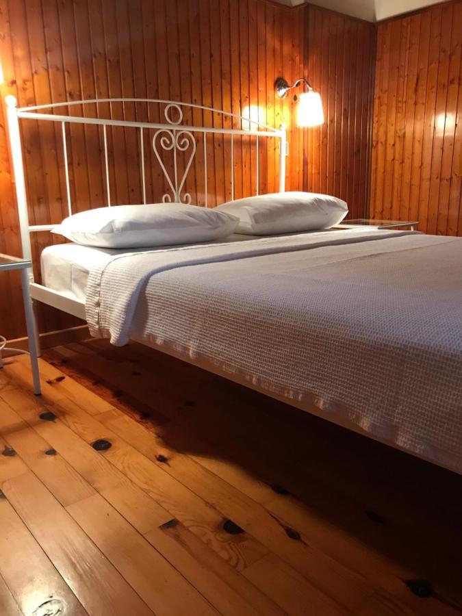 9Mouses Chasiotis Guest House Ampelakia Екстериор снимка
