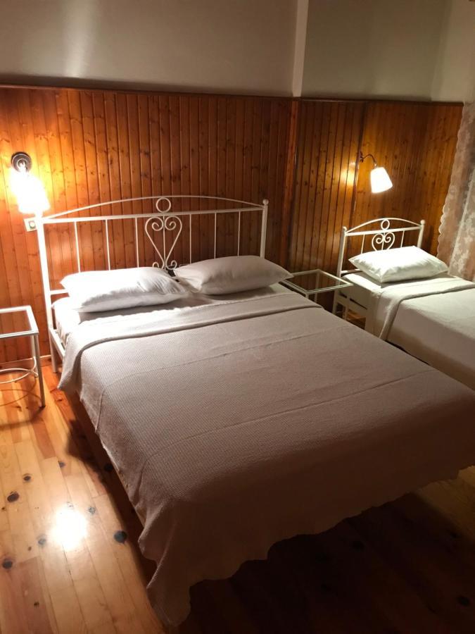 9Mouses Chasiotis Guest House Ampelakia Екстериор снимка