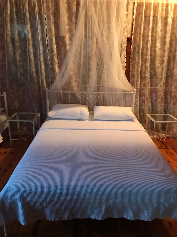 9Mouses Chasiotis Guest House Ampelakia Екстериор снимка