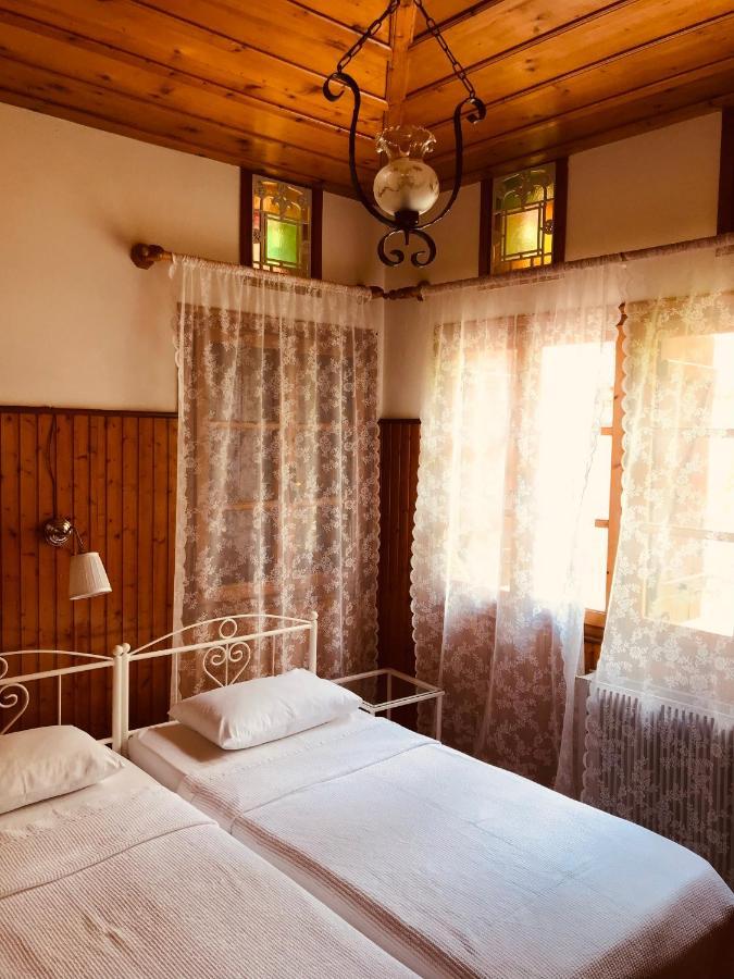 9Mouses Chasiotis Guest House Ampelakia Екстериор снимка