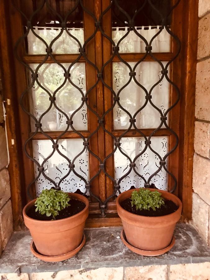 9Mouses Chasiotis Guest House Ampelakia Екстериор снимка