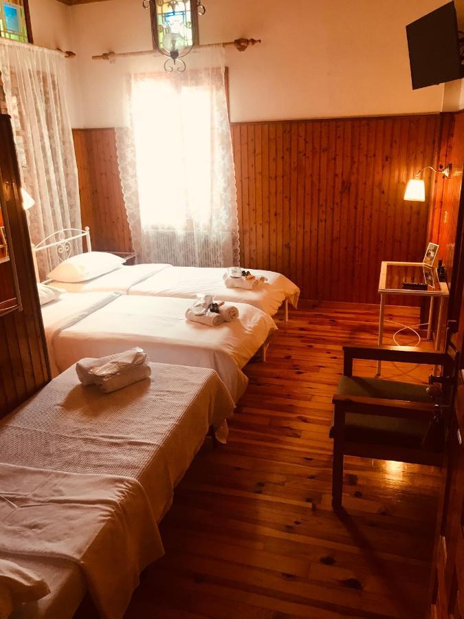 9Mouses Chasiotis Guest House Ampelakia Екстериор снимка