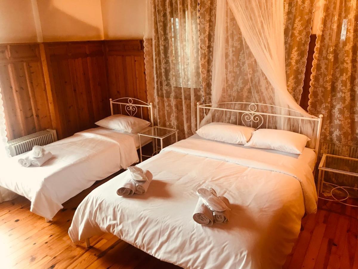 9Mouses Chasiotis Guest House Ampelakia Екстериор снимка