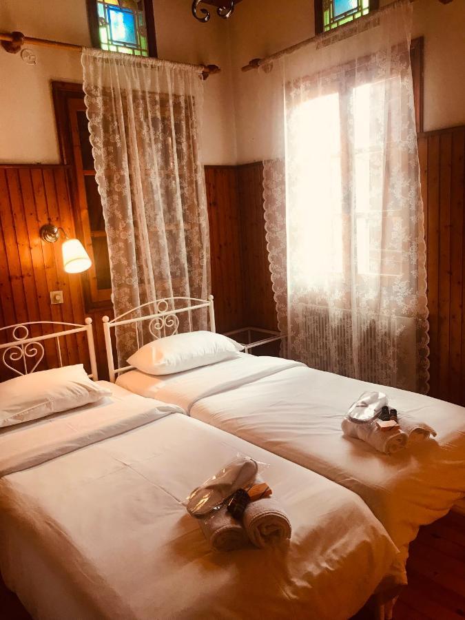 9Mouses Chasiotis Guest House Ampelakia Екстериор снимка