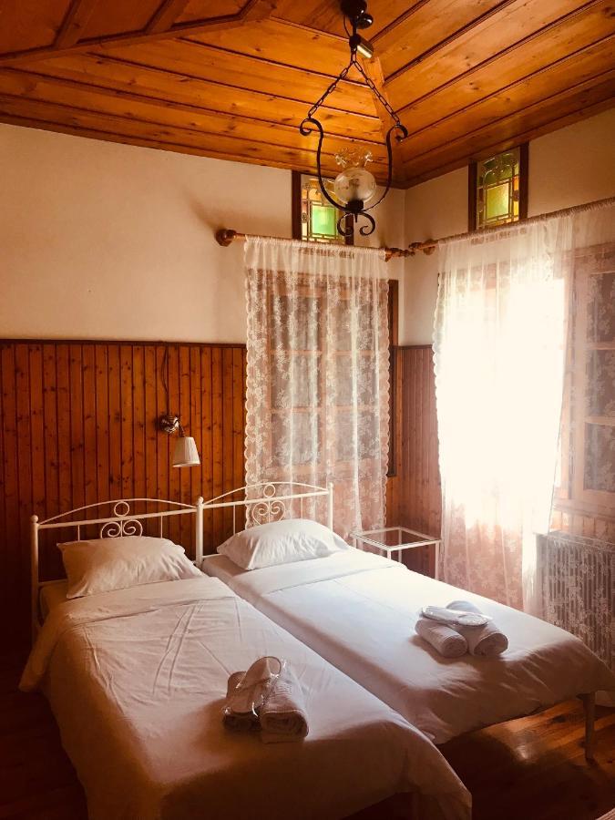 9Mouses Chasiotis Guest House Ampelakia Екстериор снимка
