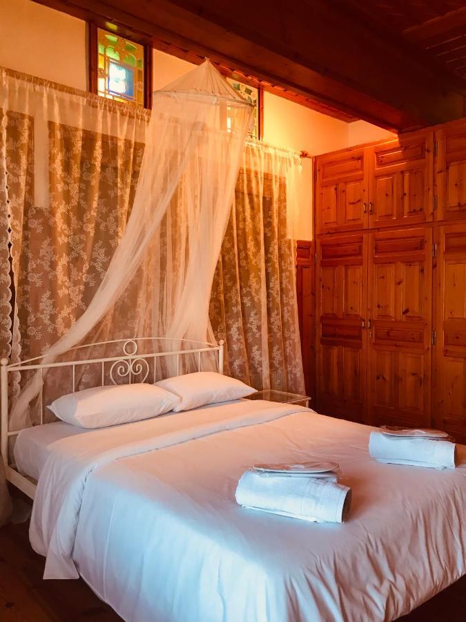 9Mouses Chasiotis Guest House Ampelakia Екстериор снимка