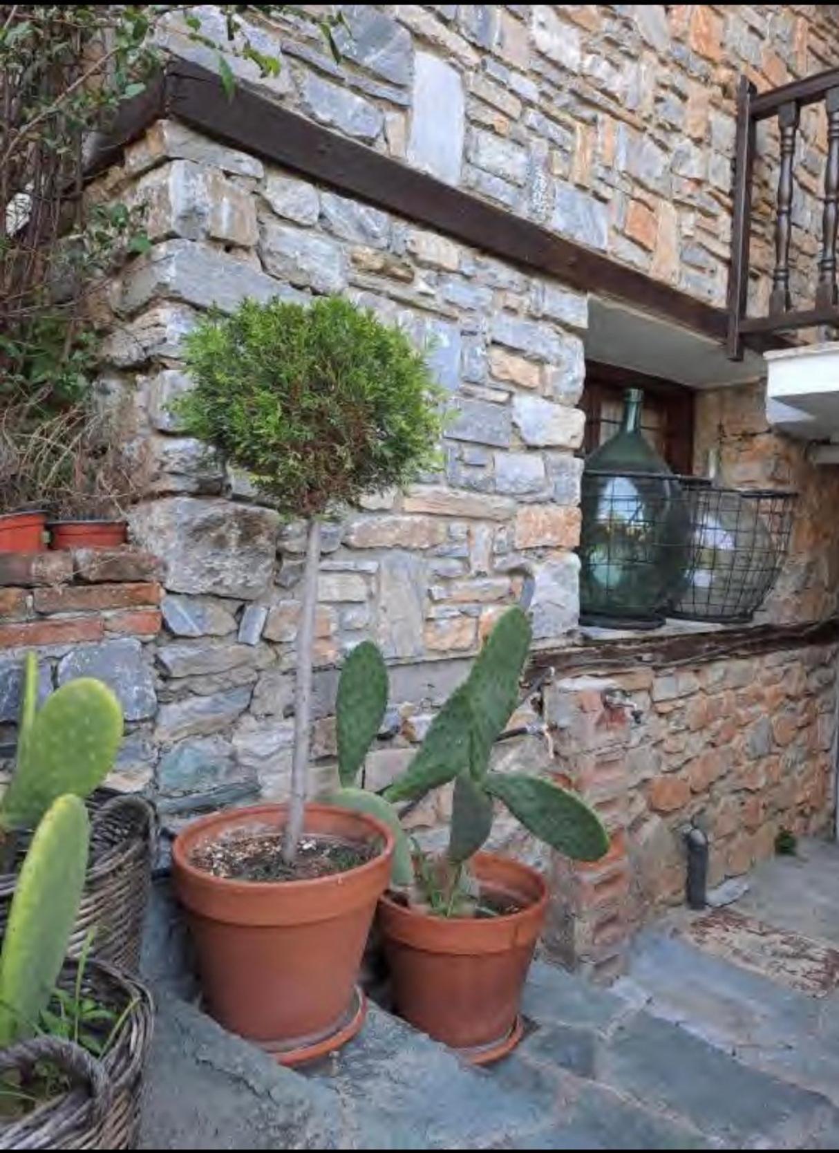 9Mouses Chasiotis Guest House Ampelakia Екстериор снимка