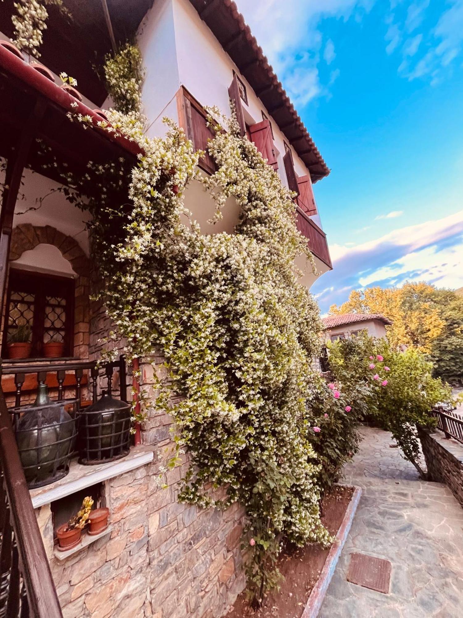 9Mouses Chasiotis Guest House Ampelakia Екстериор снимка